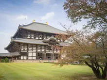 Japan Visitor - nara-todaiji2018.jpg